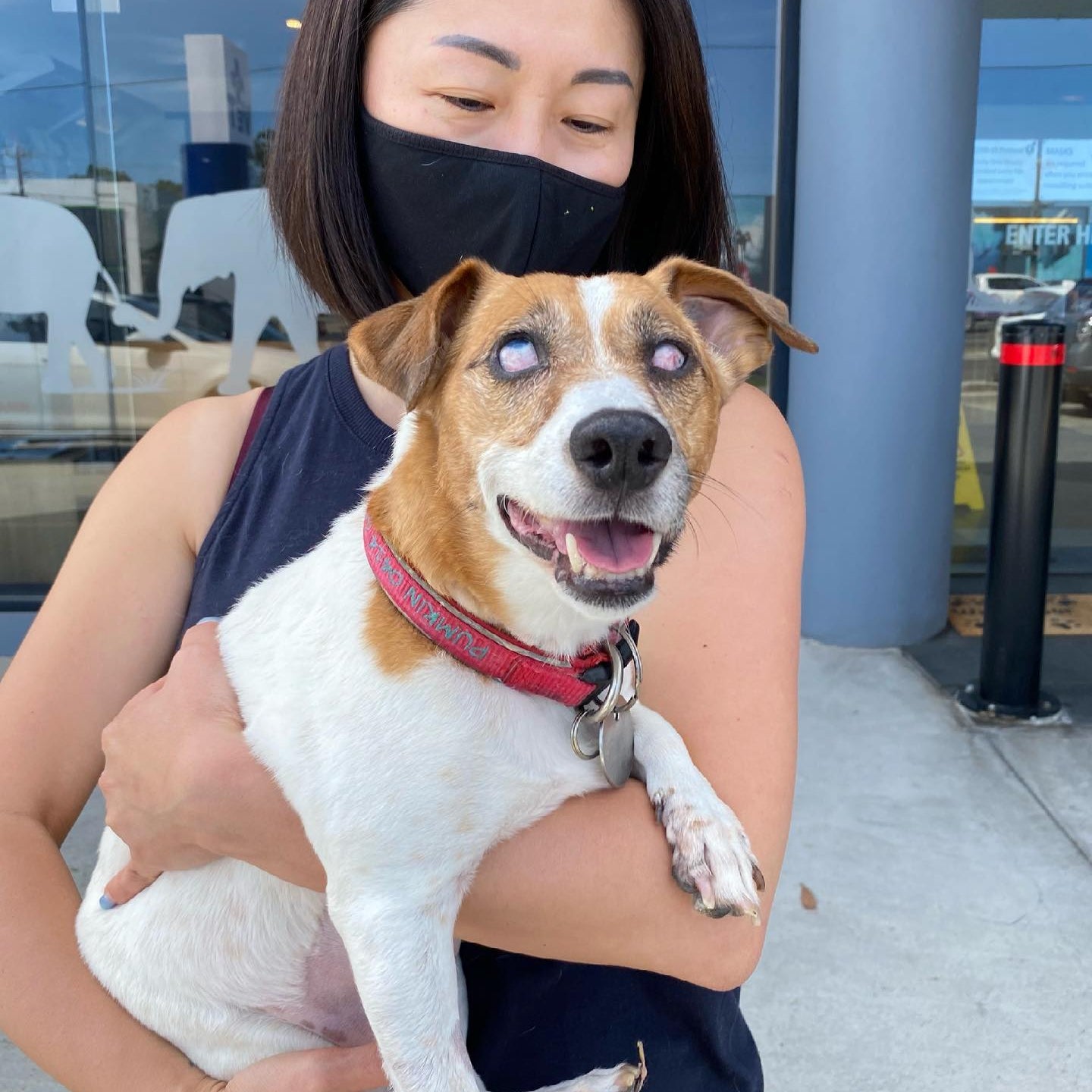 Yvonne Hong, Founder & CEO of Pets Of The Homeless