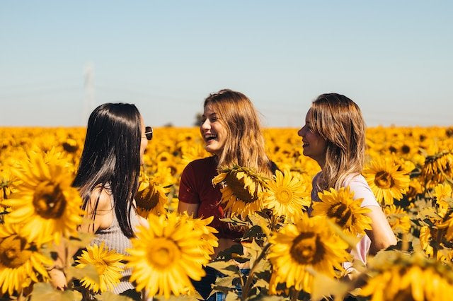 3 women standing in field of sunflowers